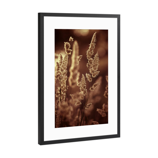 Poster mit Rahmen Schwarz (Metallic) "Sommer Gras, Rot und Orange" artboxONE - Natur,Floral,Abstrakt