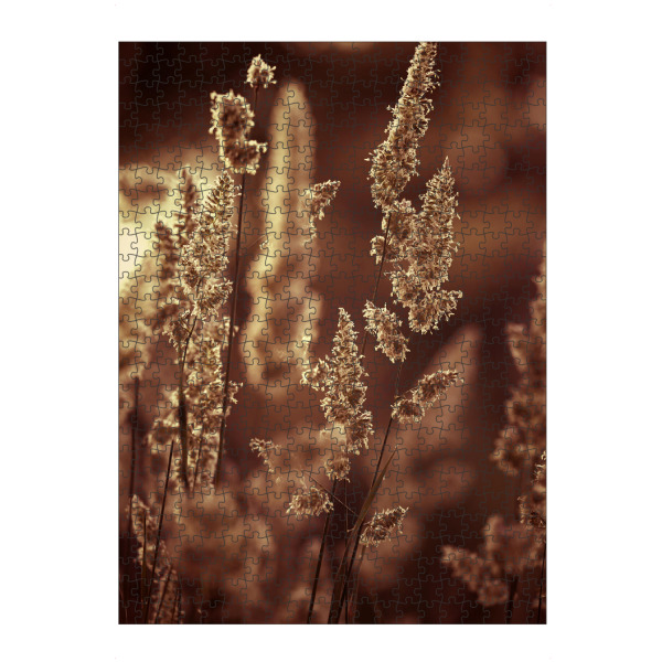 Puzzle Ravensburger "Sommer Gras, Rot und Orange" artboxONE - Natur,Floral,Abstrakt