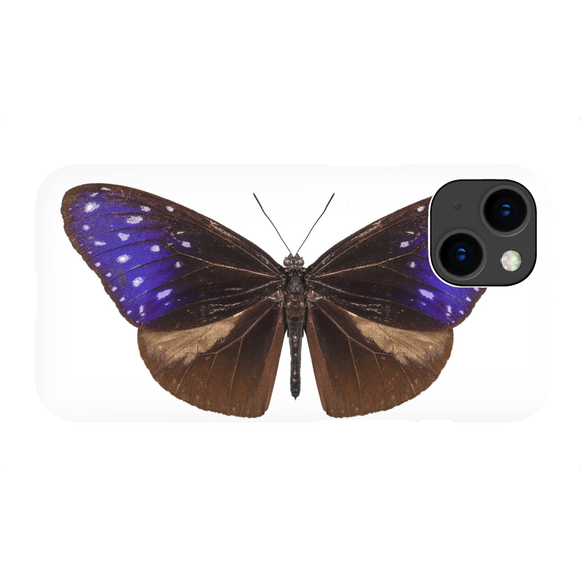 "Bunter Schmetterling"für iPhone - Premium-Case Handyhülle artboxONE