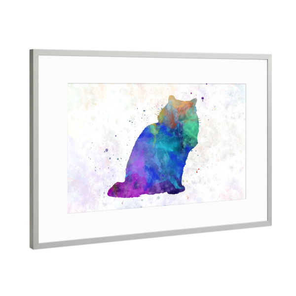 Poster mit Rahmen Silber "Ragdoll-Katze in Aquarell" artboxONE - Tiere,Abstrakt