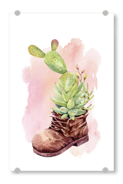 Acrylglasbild "Kaktus und Sukkulente" artboxONE - Natur,Floral - Kaktus,Schuh,Topf,Blume,Pflanze,Blühen