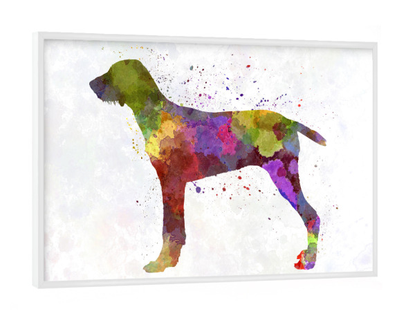 Poster mit weißem Rahmen "Drahthaariger slowakischer Zeiger" artboxONE - Tiere,Abstrakt