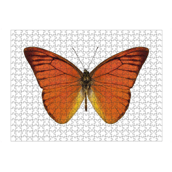 artboxONE Puzzle "Orangener Schmetterling 4k" artboxONE - Natur,Tiere