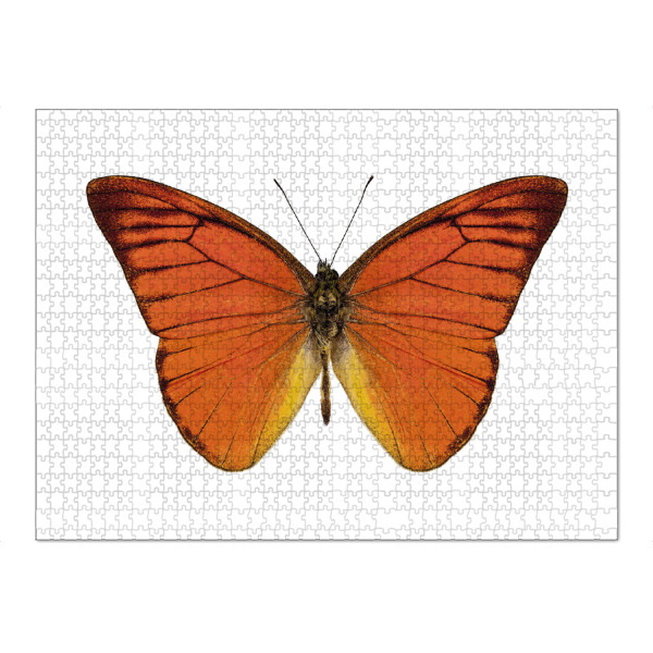 Puzzle Ravensburger "Orangener Schmetterling 4k" artboxONE - Natur,Tiere