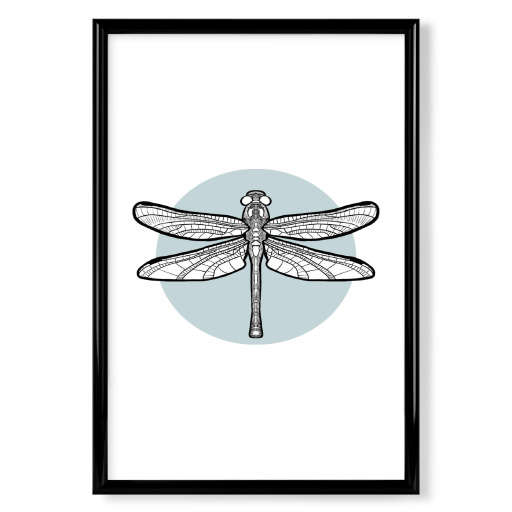 Dragonfly Geometry