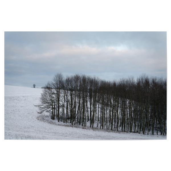 Poster "Winterabend im Osterzgebirge" artboxONE - Natur