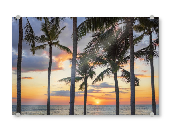 Acrylglasbild "Tropical Island sunset" artboxONE - Natur,Reise,Reise / Strand und Meer,Reise / Asien,Reise / Länder
