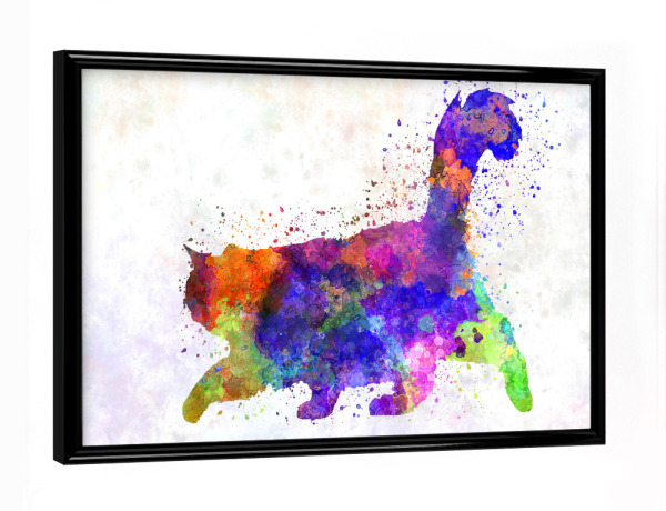 Poster mit schwarzem Rahmen "Burma-Katze im Aquarell" artboxONE - Tiere,Abstrakt