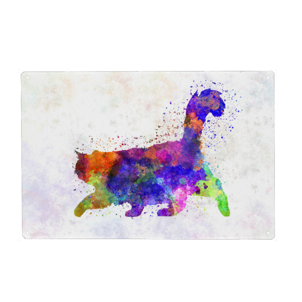 Metall Poster "Burma-Katze im Aquarell" artboxONE - Tiere,Abstrakt - Katze,Haustier,Katze,Tier,Aquarell,Zeichnung,Kinderdekoration,Dekoration