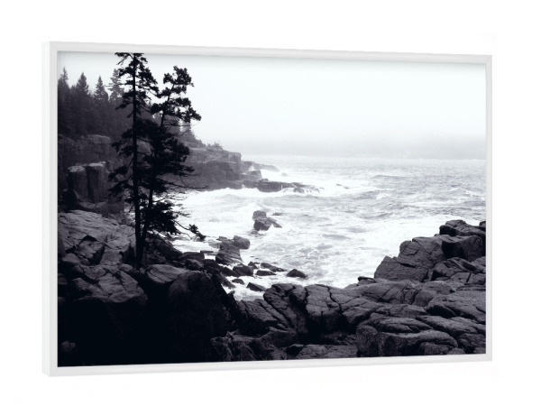 Poster mit weißem Rahmen "Acadia Nationalpark" artboxONE - Natur,Reise,Schwarzweiß,Reise / Länder