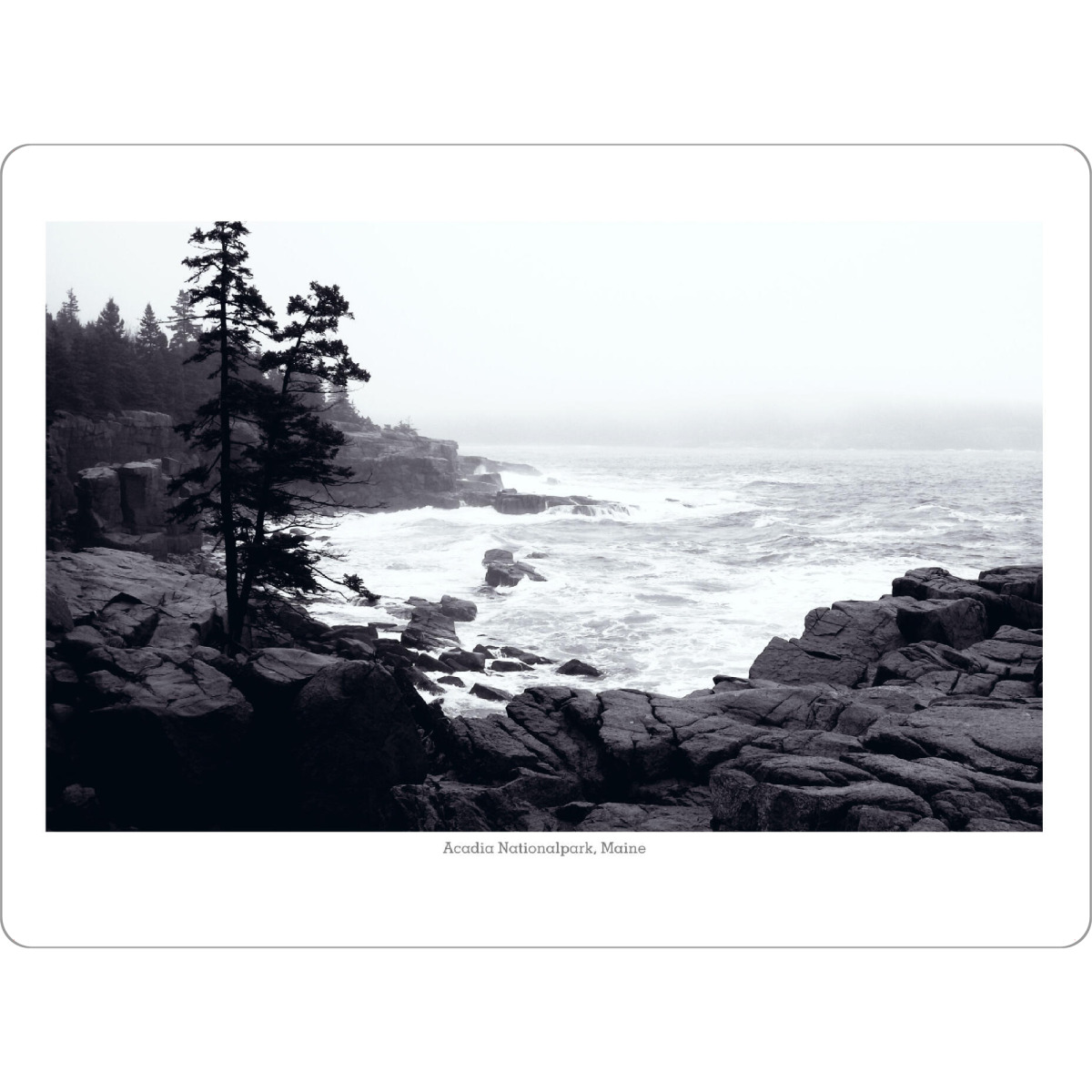 Tischset "Acadia Nationalpark" artboxONE - Natur,Reise,Schwarzweiß,Reise / Länder