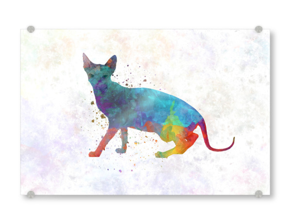 Acrylglasbild "Minskin cat in watercolor" artboxONE - Tiere,Abstrakt - Katzen,Katze,Haustier,Katze,Tier,Aquarell,Zeichnung,Kinderdekoration,Dekoration