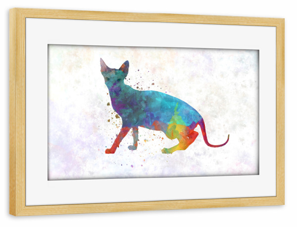 Poster mit Rahmen kiefer "Minskin cat in watercolor" artboxONE - Tiere,Abstrakt