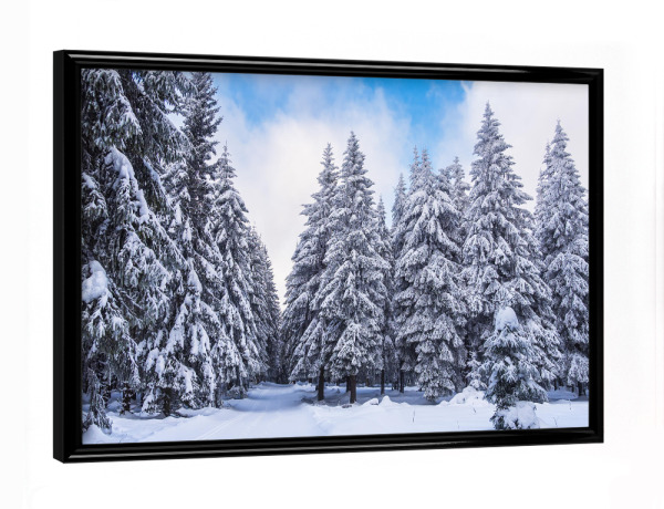 Poster mit schwarzem Rahmen "Bäume, Lipe und Schnee" artboxONE - Natur,Reise