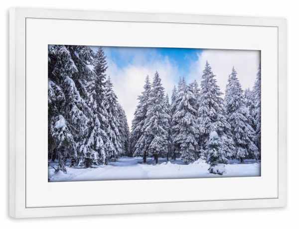 Poster mit Rahmen weiß "Bäume, Lipe und Schnee" artboxONE - Natur,Reise