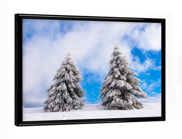 Poster mit schwarzem Rahmen "Zwei Bäume im Schnee" artboxONE - Natur,Reise