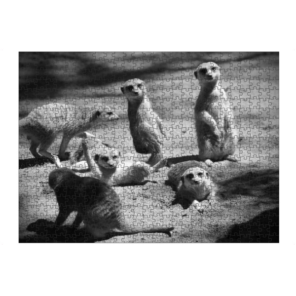 artboxONE Puzzle "Niedliche Erdmännchen Familie" artboxONE - Tiere,Schwarzweiß,Lustig