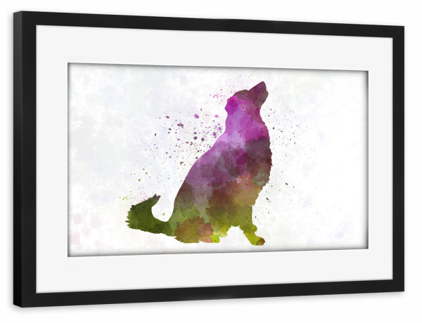 Poster mit Rahmen schwarz "Karst-Schäferhund in Aquarell" artboxONE - Tiere,Abstrakt