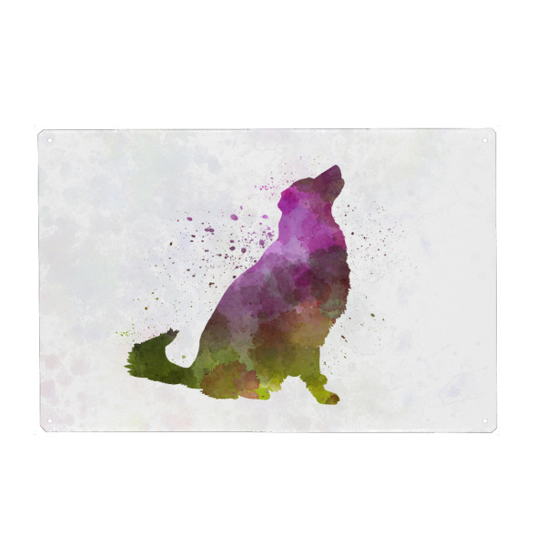 Metall Poster "Karst-Schäferhund in Aquarell" artboxONE - Tiere,Abstrakt - Hund,Haustier,Tier,Säugetier,Aquarell,Illustration,Abstrakt,Bunt