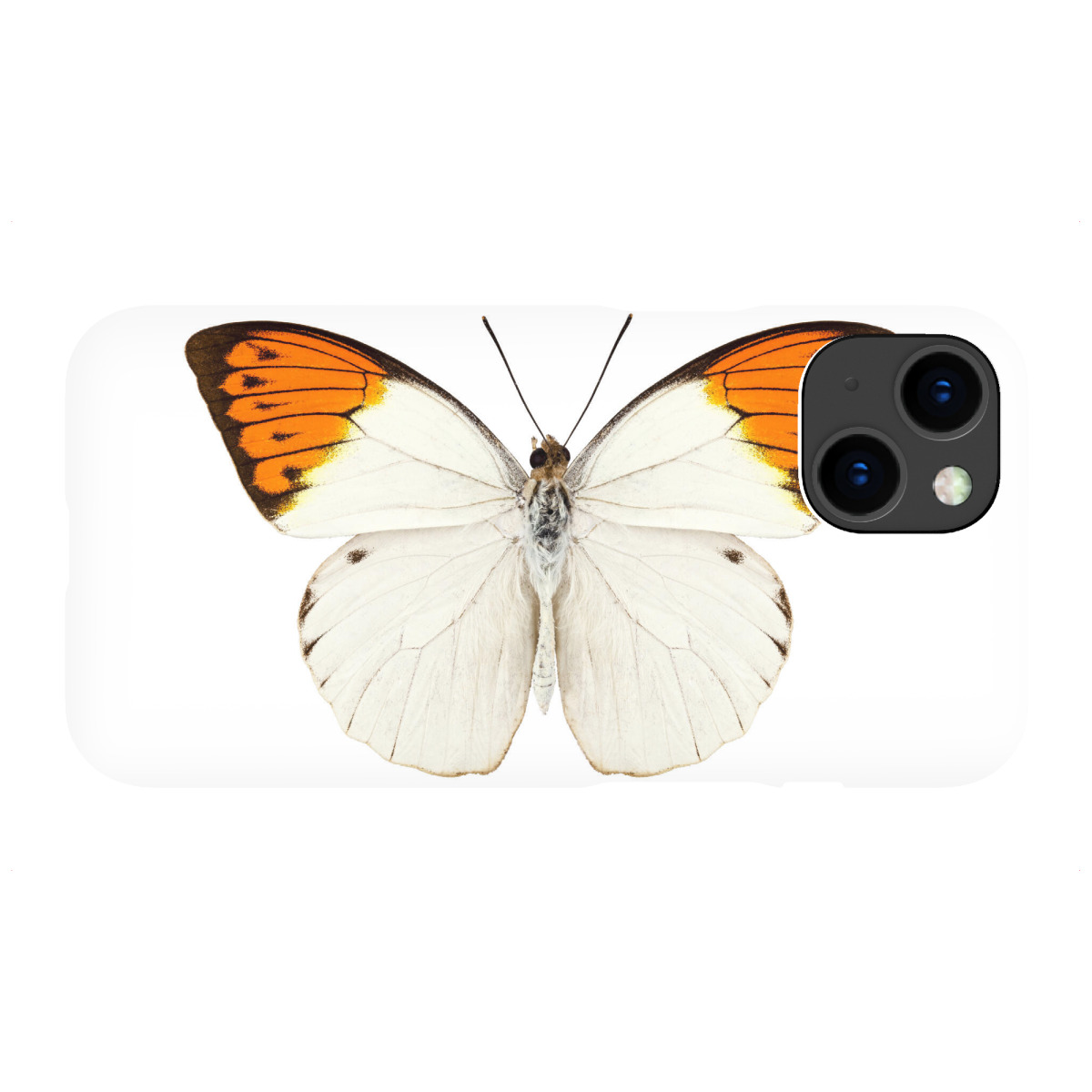"Schmetterlingsart Hebomoia"für iPhone - Premium-Case Handyhülle artboxONE