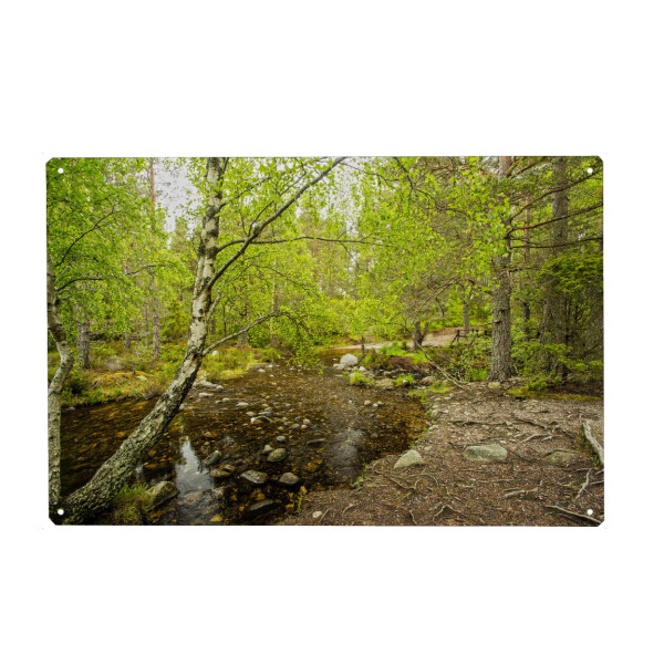 Metall Poster "Schottische Highlands" artboxONE - Natur,Reise,Reise / Länder