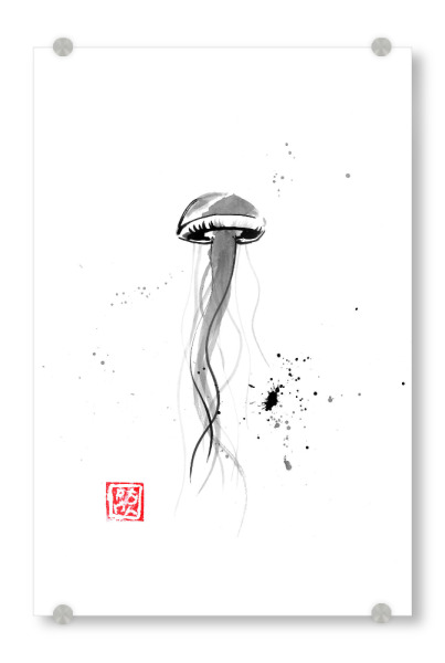 Acrylglasbild "Jellifish spot" artboxONE - Tiere,Schwarzweiß - Qualle,Sumie,Japan,Tier,Schwarzweiß
