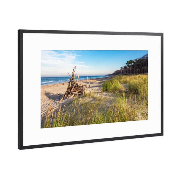 Poster mit Rahmen Schwarz (Metallic) "Dünengras, Treibgut und Strand" artboxONE - Natur,Reise,Reise / Strand und Meer