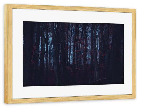 Poster mit Rahmen kiefer "Düsterer Herbstwald" artboxONE - Natur