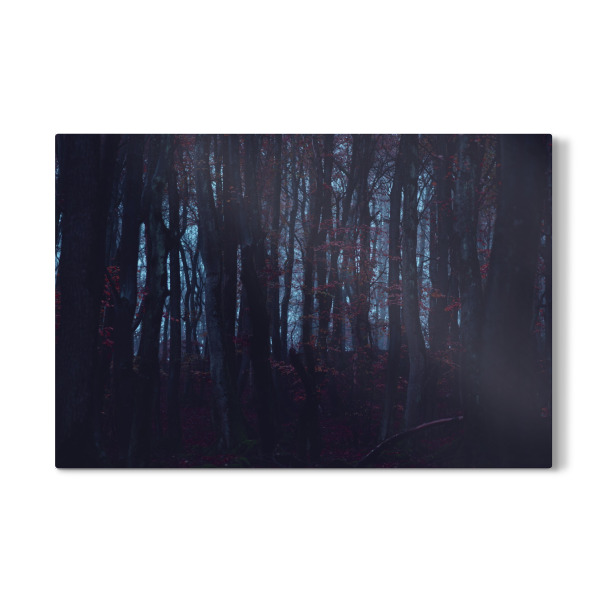 Galerie-Print "Düsterer Herbstwald" 30x20 cm artboxONE