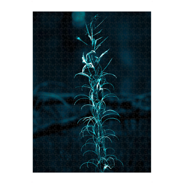 Puzzle Ravensburger "Pflanze in Blautönen" artboxONE - Natur,Floral