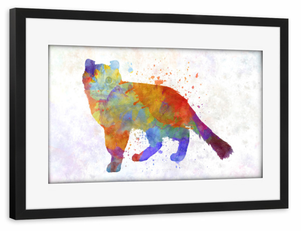 Poster mit Rahmen schwarz "Curl American in Aquarell" artboxONE - Tiere,Abstrakt
