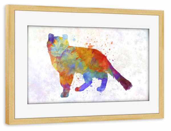 Poster mit Rahmen kiefer "Curl American in Aquarell" artboxONE - Tiere,Abstrakt
