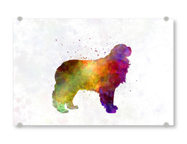 Acrylglasbild "Pyrenäen-Mastiff im Aquarell" artboxONE - Tiere,Abstrakt
