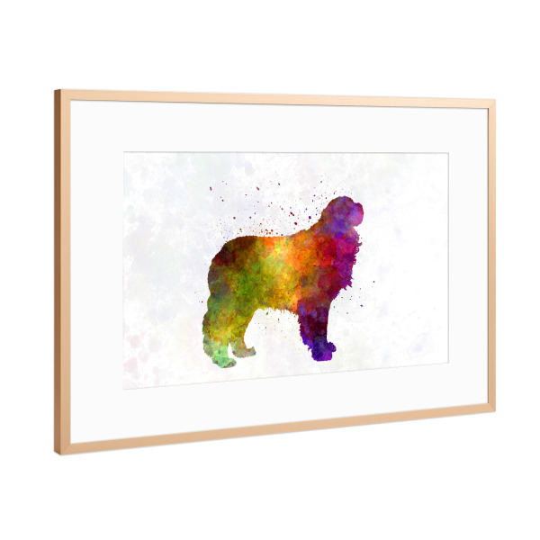Poster mit Rahmen Kupfer "Pyrenäen-Mastiff im Aquarell" artboxONE - Tiere,Abstrakt