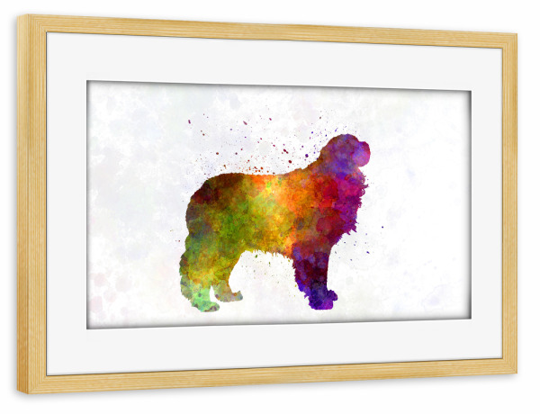 Poster mit Rahmen kiefer "Pyrenäen-Mastiff im Aquarell" artboxONE - Tiere,Abstrakt