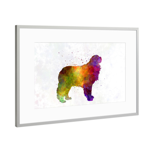 Poster mit Rahmen Silber "Pyrenäen-Mastiff im Aquarell" artboxONE - Tiere,Abstrakt