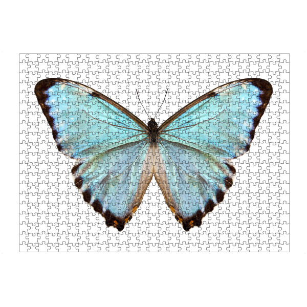Puzzle Ravensburger "Blaue Schmetterlingsart Morpho" artboxONE - Natur,Tiere