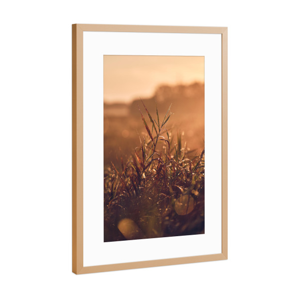 Poster mit Rahmen Kupfer "Morgenstimmung auf dem Feld" artboxONE - Natur - Wiese,Morgens,Tau,Nebel,Warm,Wärme,Pflanze,Gras,Gräser,Sonnenaufgang,Natur