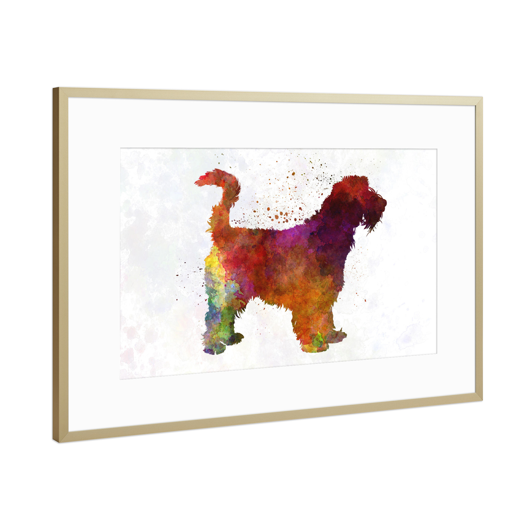 Poster mit Rahmen Gold "Großer Griffon Vendeen" artboxONE - Tiere,Abstrakt