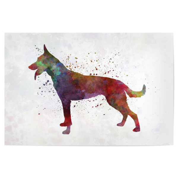 Poster 30x20 cm "Holländischer Schäferhund" artboxONE - Tiere,Abstrakt