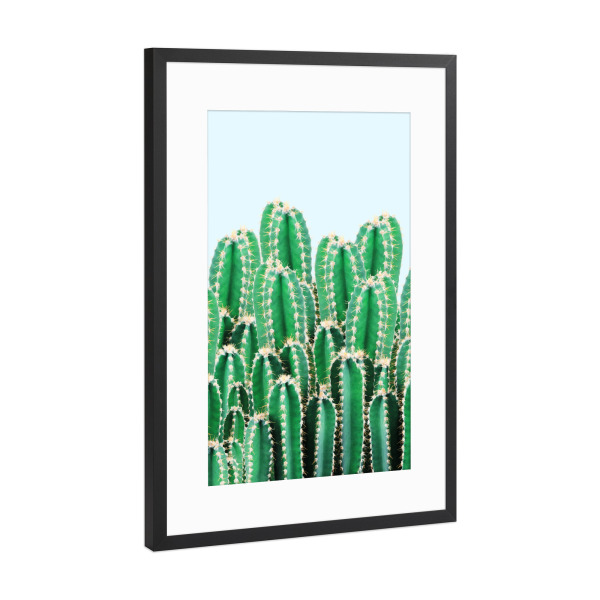 Poster mit Rahmen Schwarz (Metallic) "Kaktos-II" artboxONE - Natur