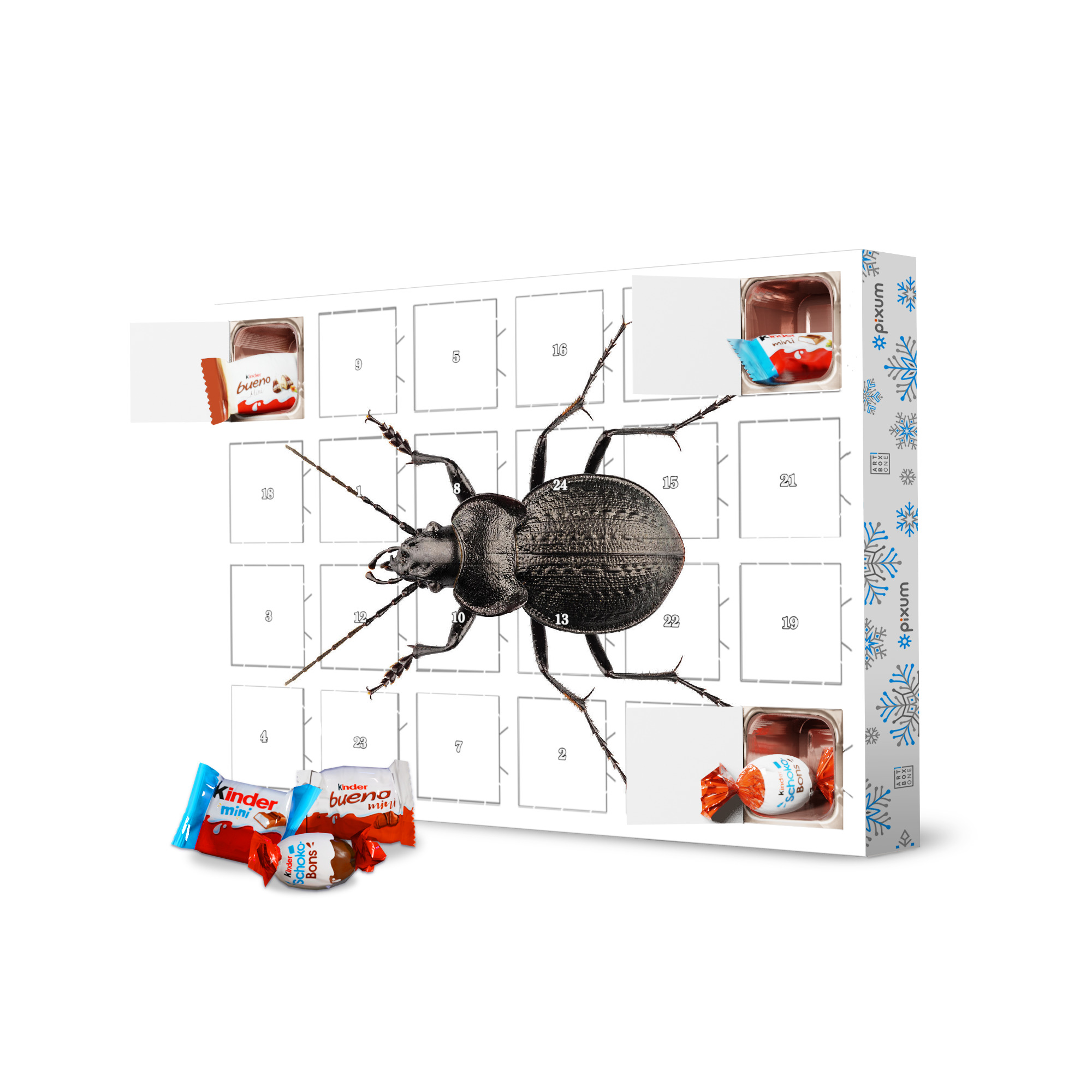 Adventskalender mit Produkten von Kinder Arachnophobia artboxONE Adventskalender Natur