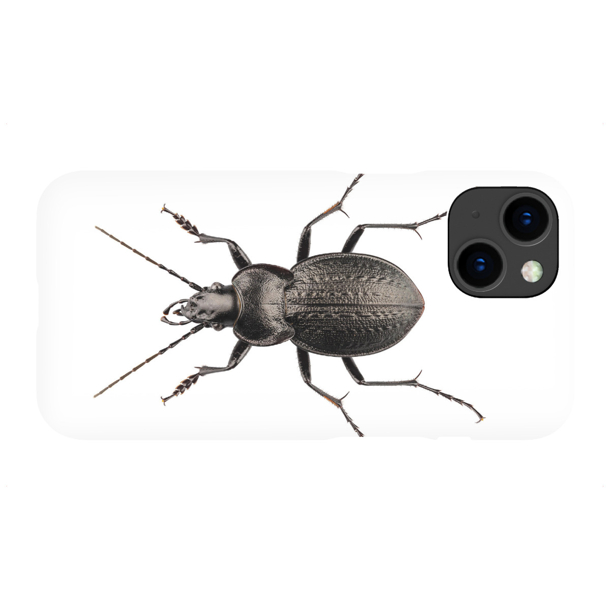 iPhone "Arachnophobia" Premium-Case Handyhülle artboxONE
