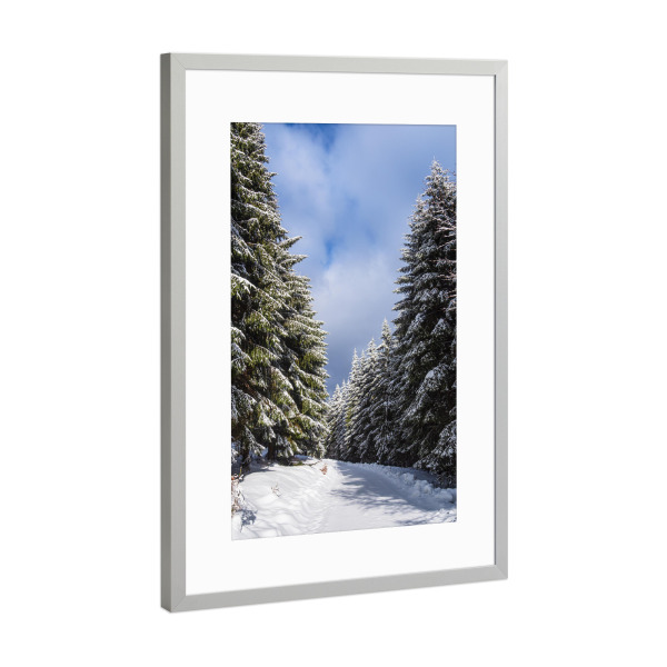 Poster mit Rahmen Silber "Winter im Wald" artboxONE - Natur,Reise
