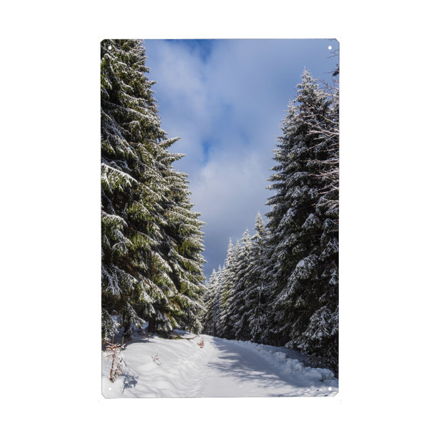 Metall Poster "Winter im Wald" artboxONE - Natur,Reise