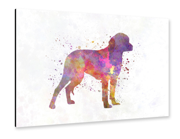 Alu-Dibond "Deutscher Jagdhund in Aquarell" 30x20 cm artboxONE