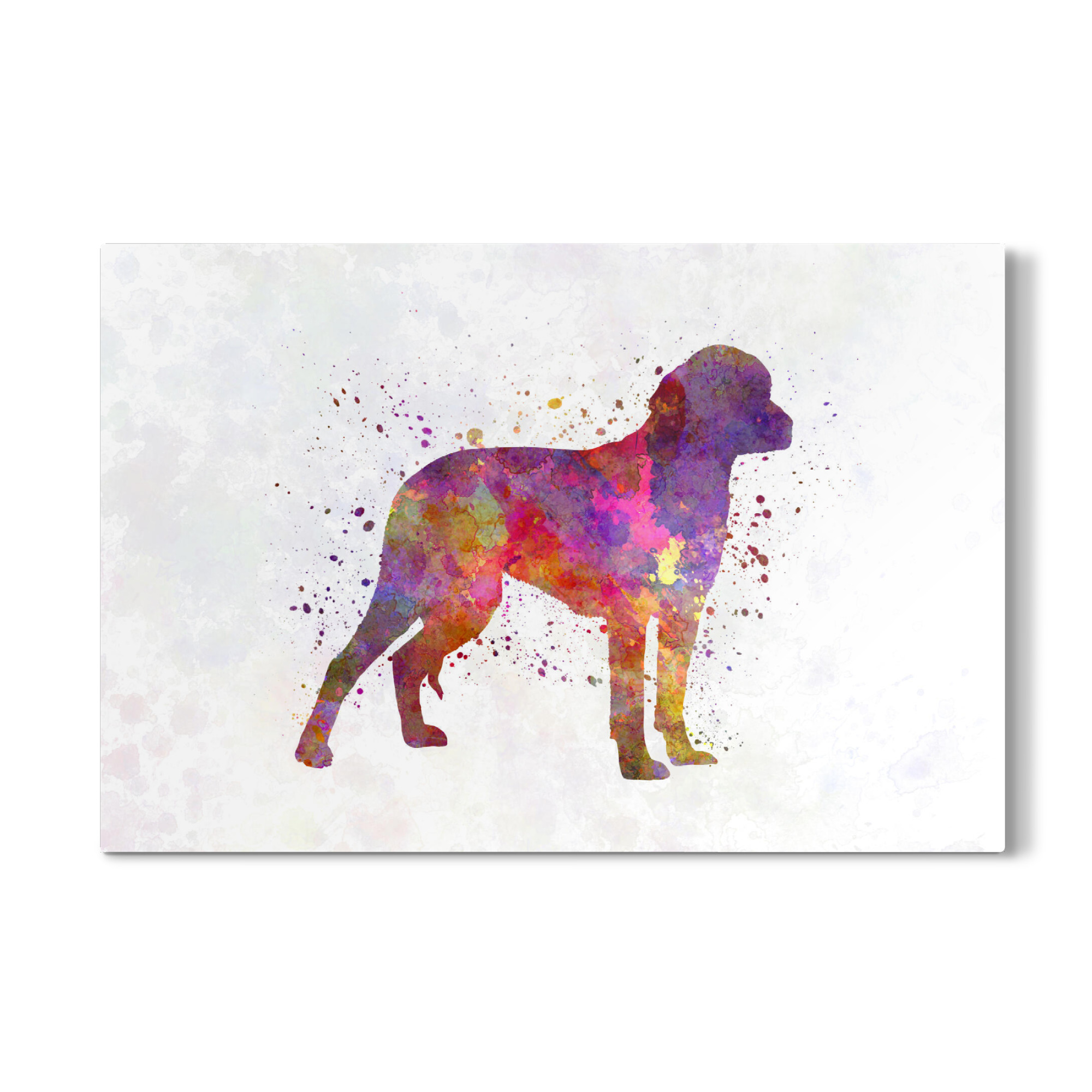 Galerie-Print "Deutscher Jagdhund in Aquarell" 75x50 cm artboxONE