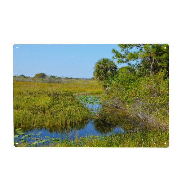 Holzbild "Florida Sumpf in Everglades" artboxONE - Natur,Reise,Reise / Länder