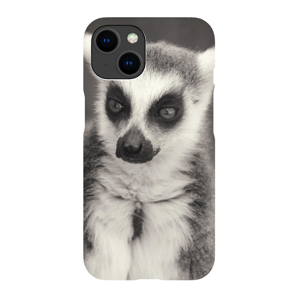 iPhone "Katta Lemure schwarz-weiß" Premium-Case Handyhülle artboxONE