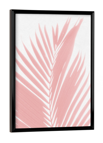 Poster mit schwarzem Rahmen "Pink Palm Foliage on White" artboxONE - Natur